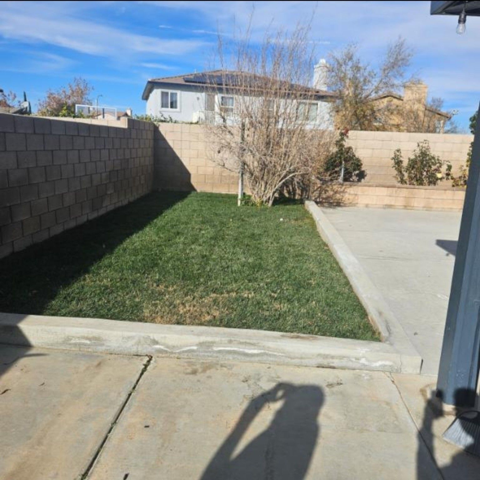 Small grass area beside concrete paving and boundary walls